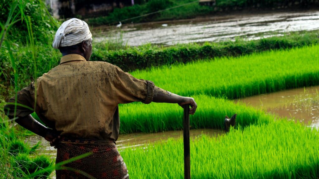 PM Kisan Scheme